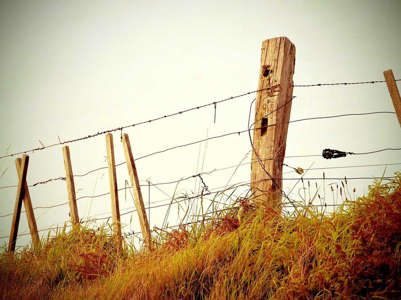 홋카이도 설국 미식 트립